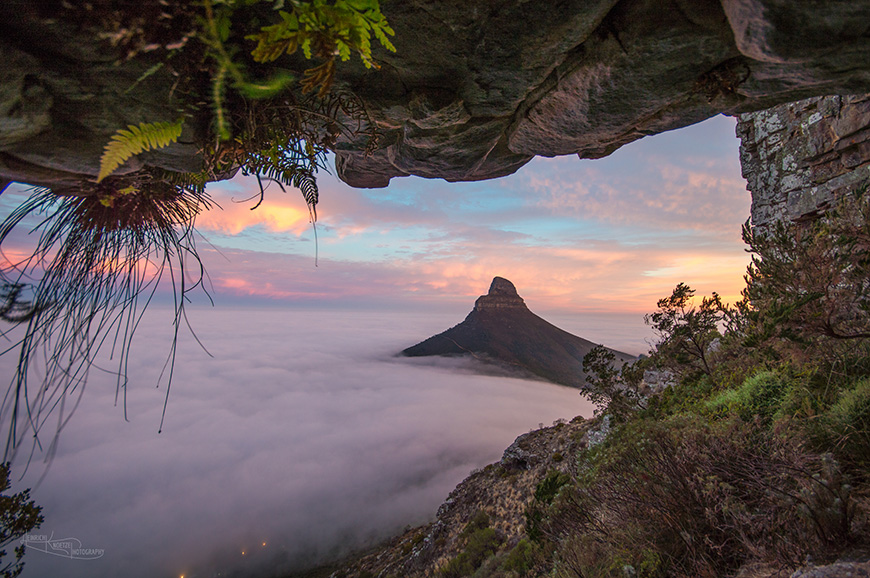 Garden of Lionshead (1 of 1)