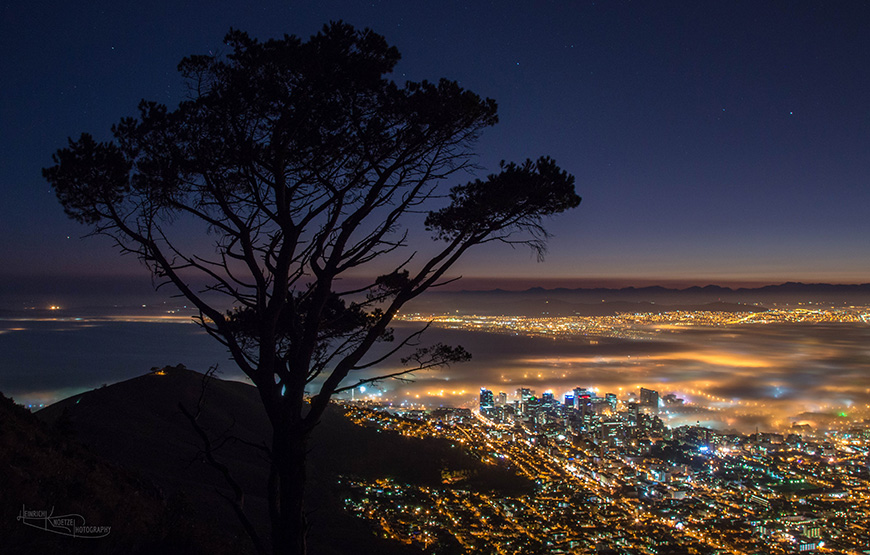 Lionshead Lonely Tree (1 of 1)