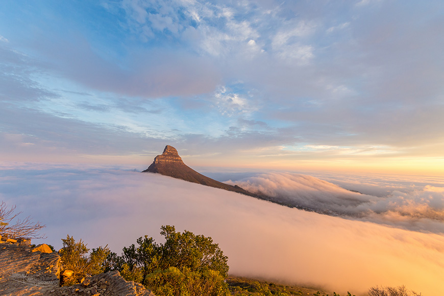 Under Cover Lionshead (1 of 1)